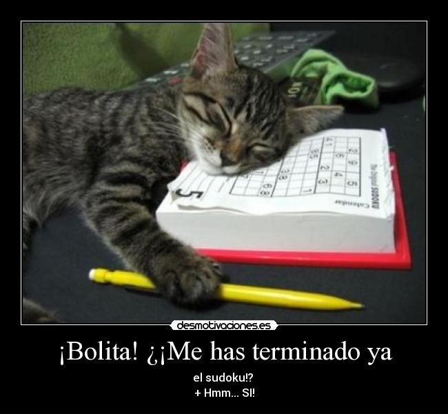 ¡Bolita! ¿¡Me has terminado ya - el sudoku!? 
+ Hmm... SI!