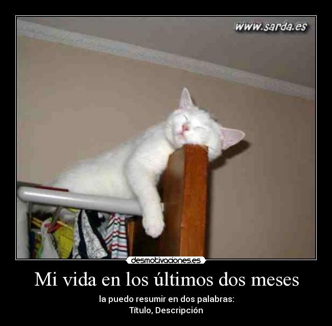Mi vida en los últimos dos meses - la puedo resumir en dos palabras:
Título, Descripción