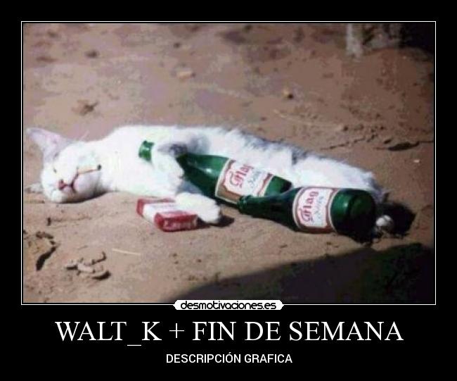 WALT_K + FIN DE SEMANA - DESCRIPCIÓN GRAFICA