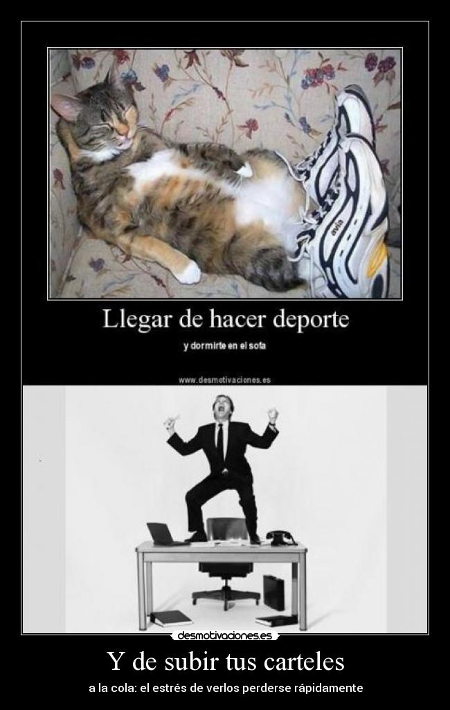 Y de subir tus carteles - a la cola: el estrés de verlos perderse rápidamente