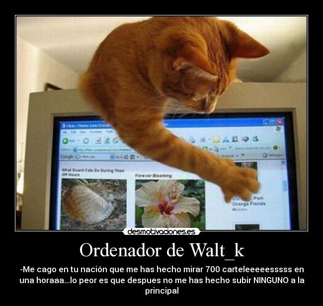 Ordenador de Walt_k - -Me cago en tu nación que me has hecho mirar 700 carteleeeeesssss en
una horaaa...lo peor es que despues no me has hecho subir NINGUNO a la
principal