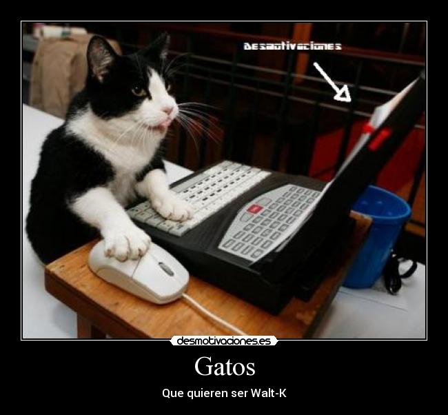 Gatos - Que quieren ser Walt-K