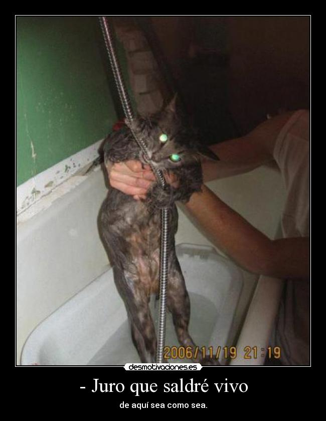 - Juro que saldré vivo - de aquí sea como sea.