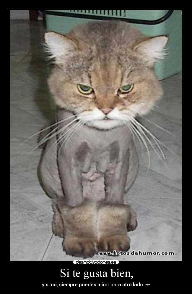 Si te gusta bien, - y si no, siempre puedes mirar para otro lado. ¬¬