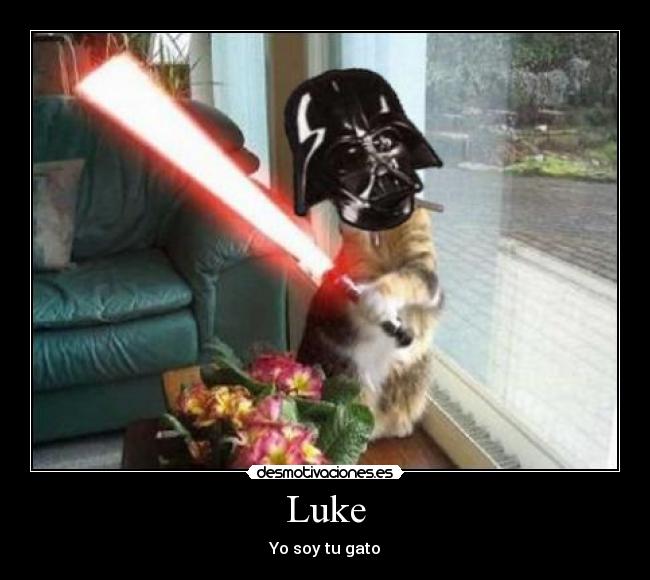 Luke -