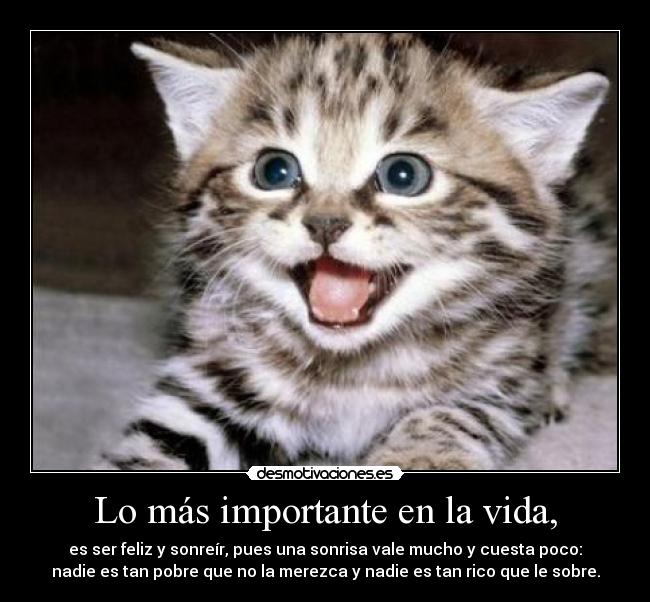 Lo más importante en la vida, - es ser feliz y sonreír, pues una sonrisa vale mucho y cuesta poco:
nadie es tan pobre que no la merezca y nadie es tan rico que le sobre.