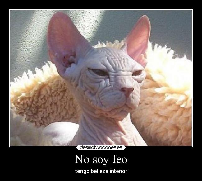 No soy feo - 