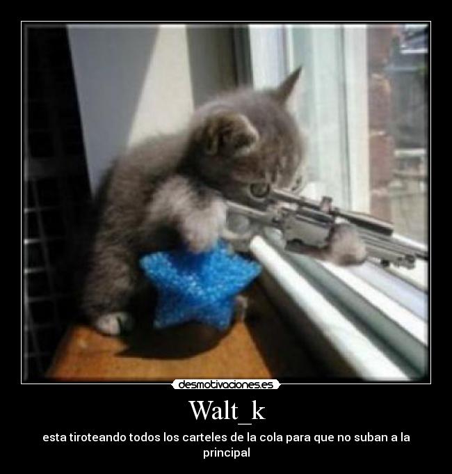 Walt_k -