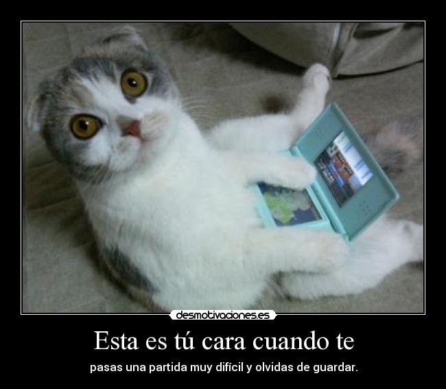 Esta es tú cara cuando te - 