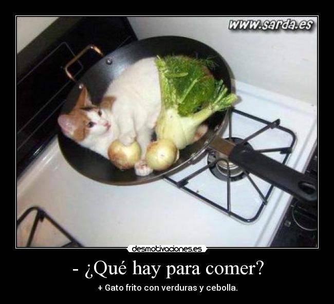 - ¿Qué hay para comer? -