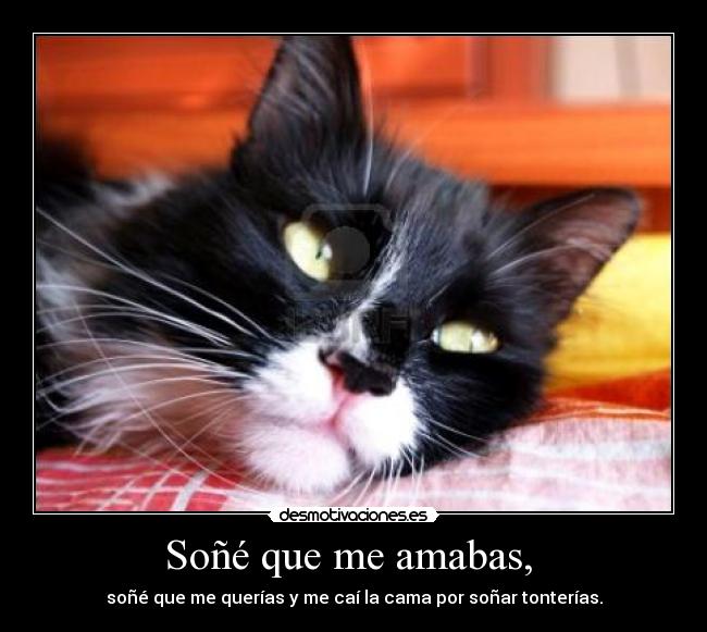 Soñé que me amabas, - soñé que me querías y me caí la cama por soñar tonterías.