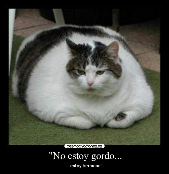 carteles gordo desmotivaciones