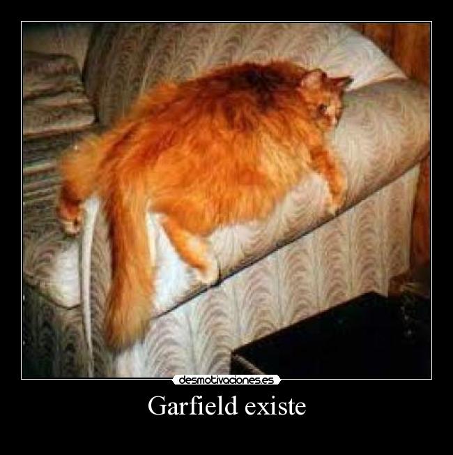 Garfield existe - 