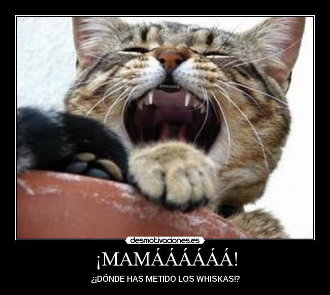 ¡MAMÁÁÁÁÁÁ! - 