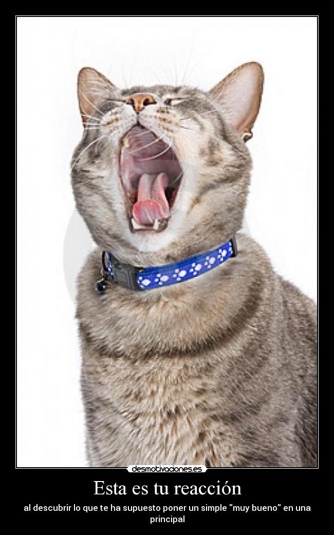 Esta es tu reacción -