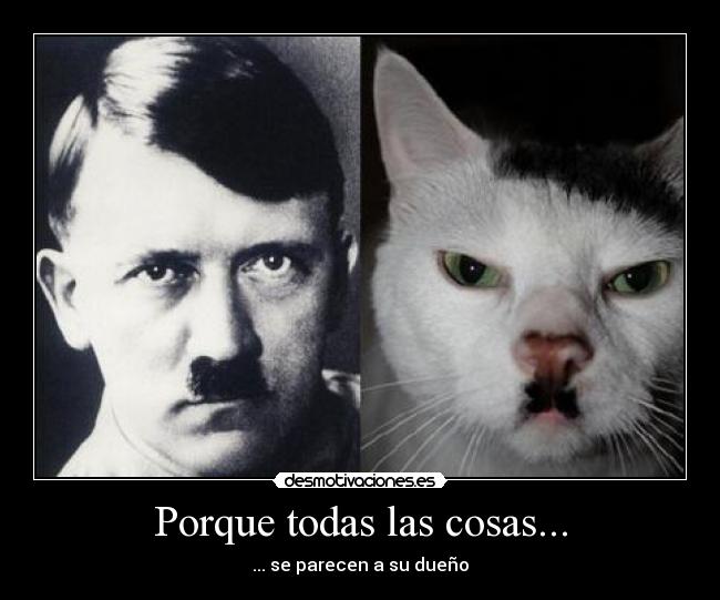 Porque todas las cosas... - ... se parecen a su dueño