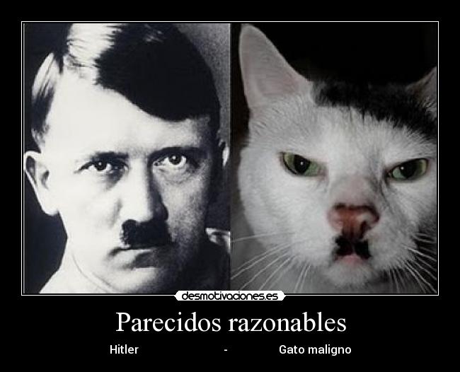 Parecidos razonables - 