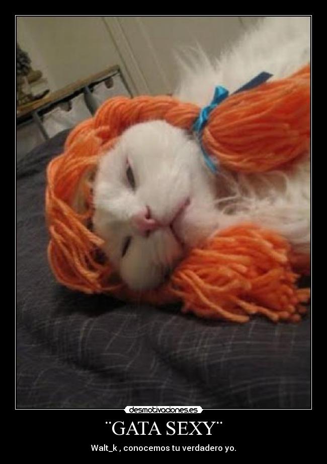 ¨GATA SEXY¨ - Walt_k , conocemos tu verdadero yo.
