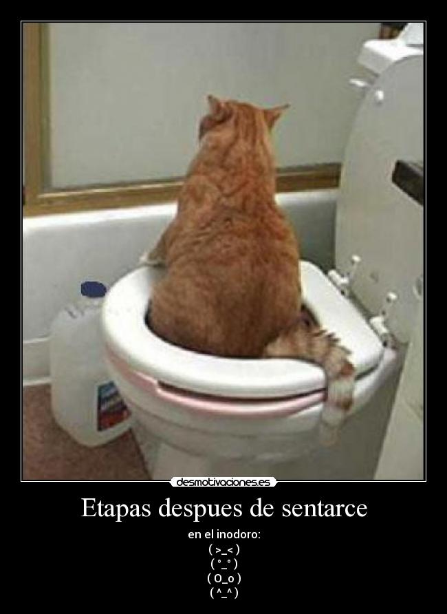 Etapas despues de sentarce - en el inodoro:
( >_< )
( °_° )
( O_o )
( ^_^ )