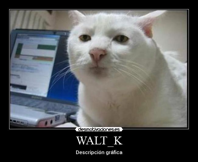 WALT_K - Descripción gráfica