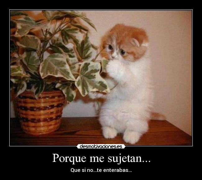 Porque me sujetan... - Que si no...te enterabas...
