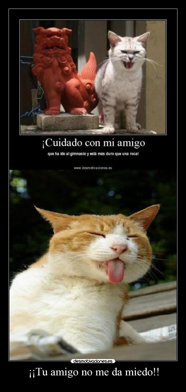 ¡¡Tu amigo no me da miedo!! - 