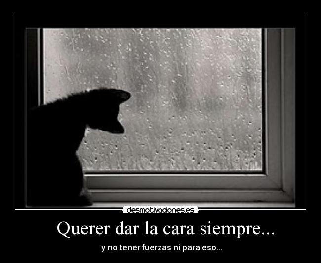 Querer dar la cara siempre... -