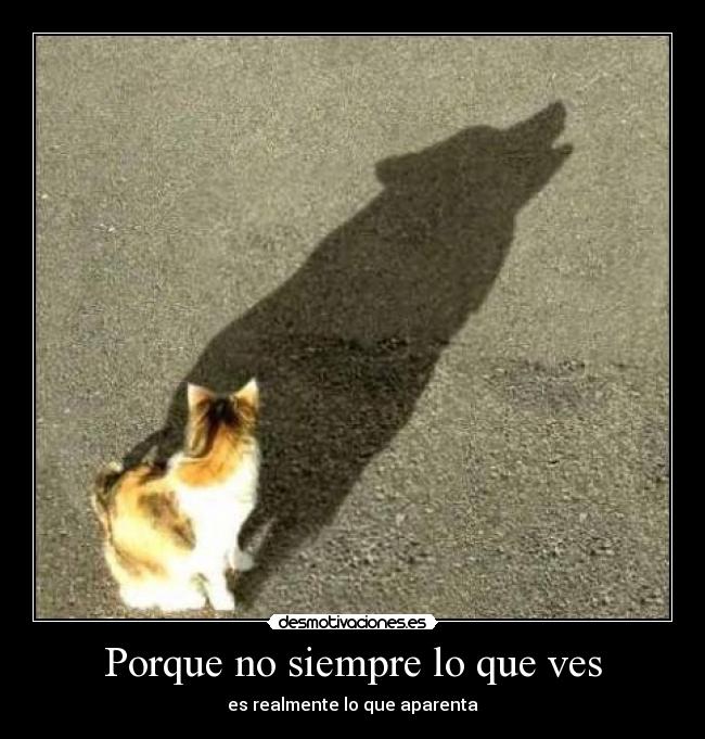 Porque no siempre lo que ves -