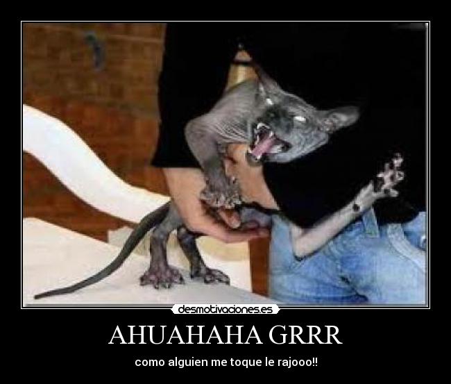 AHUAHAHA GRRR - como alguien me toque le rajooo!!