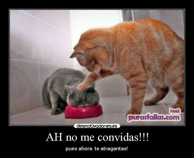 AH no me convidas!!! -