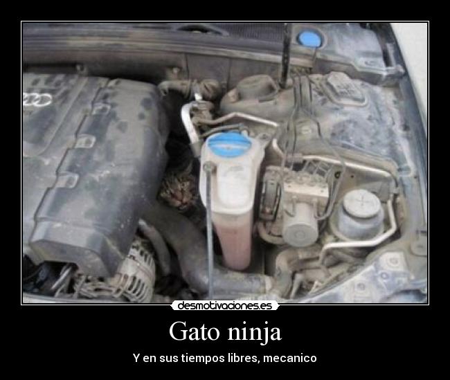 carteles gato ninja mecanico walt desmotivaciones
