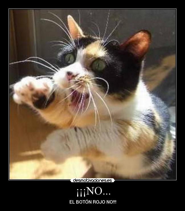 ¡¡¡NO... - EL BOTÓN ROJO NO!!!