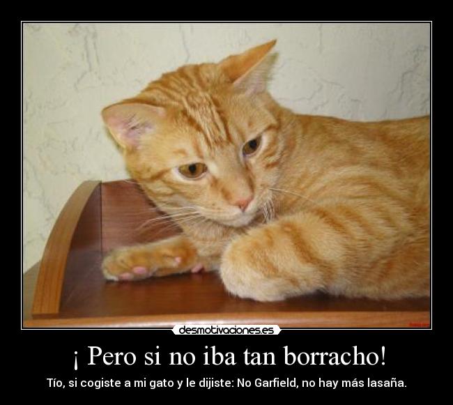 ¡ Pero si no iba tan borracho! - 