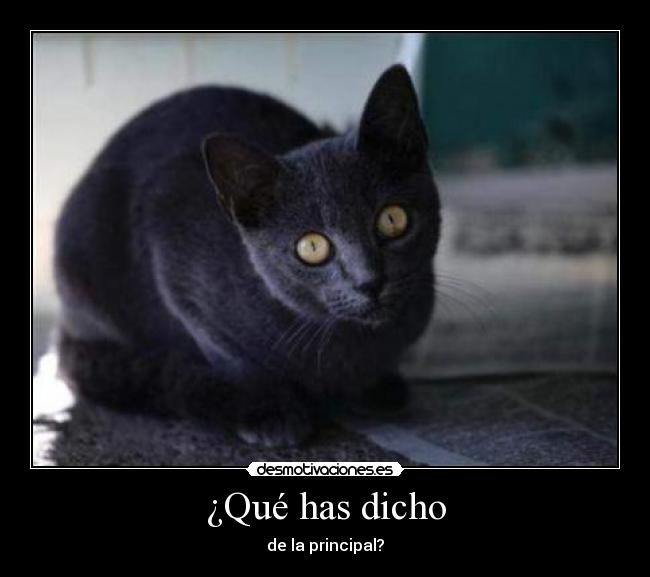 ¿Qué has dicho - de la principal?