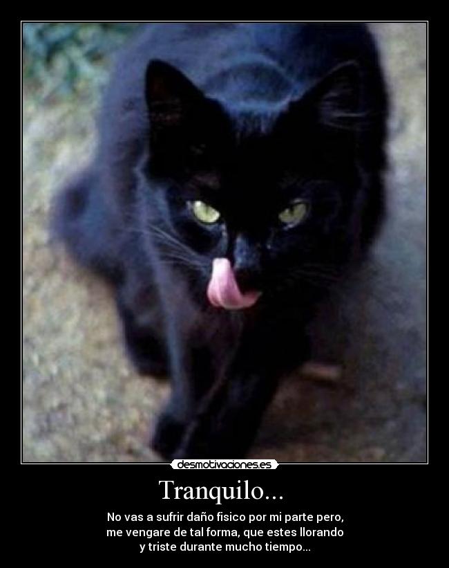 Tranquilo... - No vas a sufrir daño fisico por mi parte pero,
me vengare de tal forma, que estes llorando
y triste durante mucho tiempo...