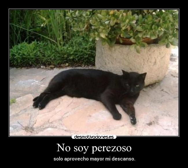 No soy perezoso - solo aprovecho mayor mi descanso.