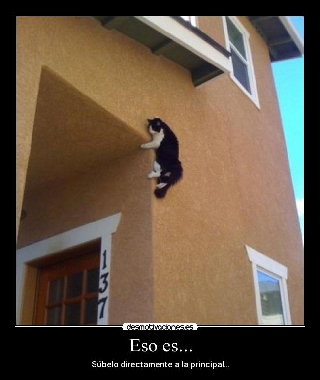 Eso es... - Súbelo directamente a la principal...