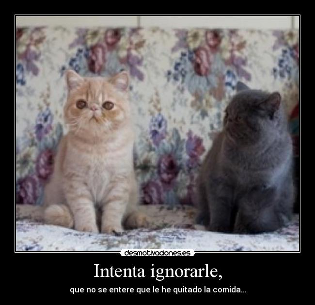 Intenta ignorarle, -