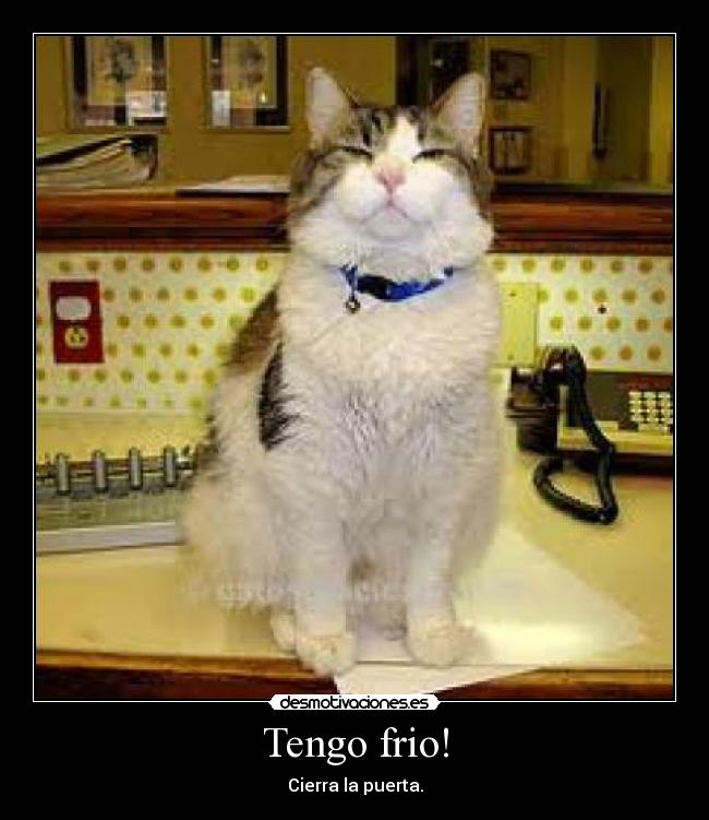 Tengo frio! -