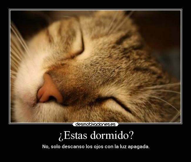 ¿Estas dormido? -