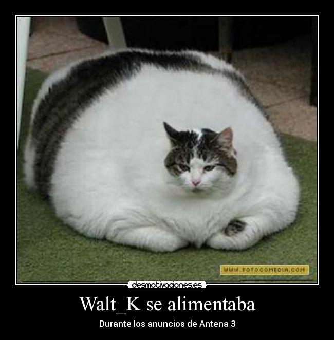 Walt_K se alimentaba - 