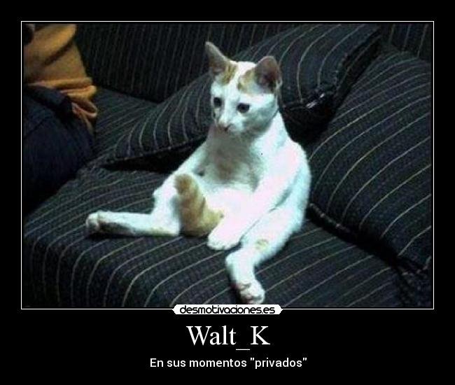 Walt_K -