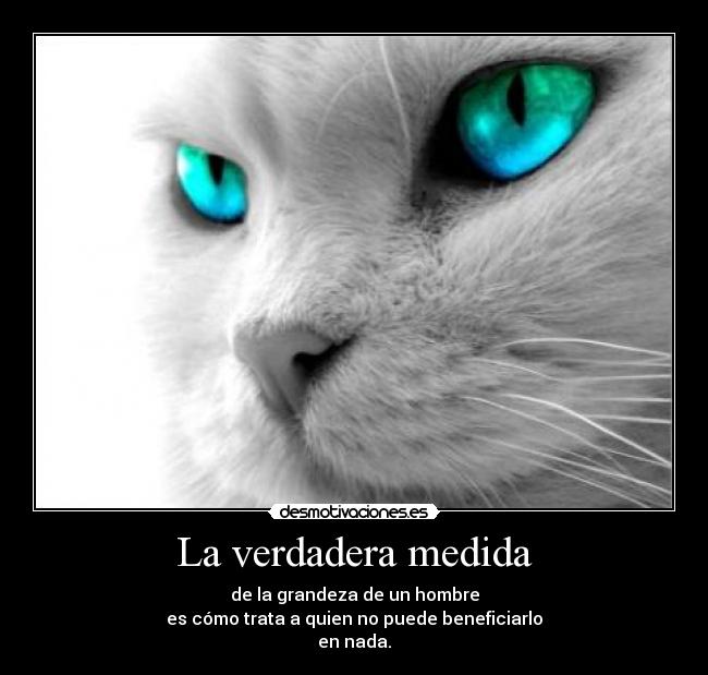 La verdadera medida - 