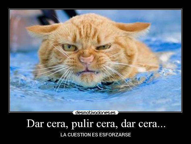 Dar cera, pulir cera, dar cera... - LA CUESTION ES ESFORZARSE