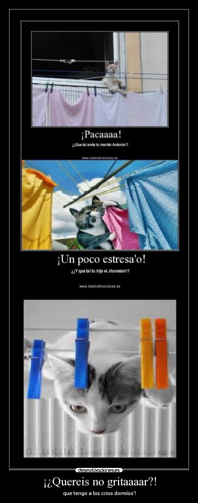 ¡¿Quereis no gritaaaar?! -