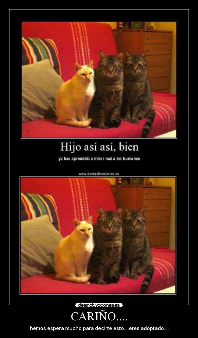 carteles 999999999999999 desmotivaciones