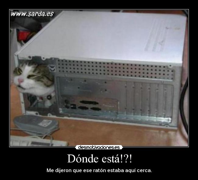 Dónde está!?! -