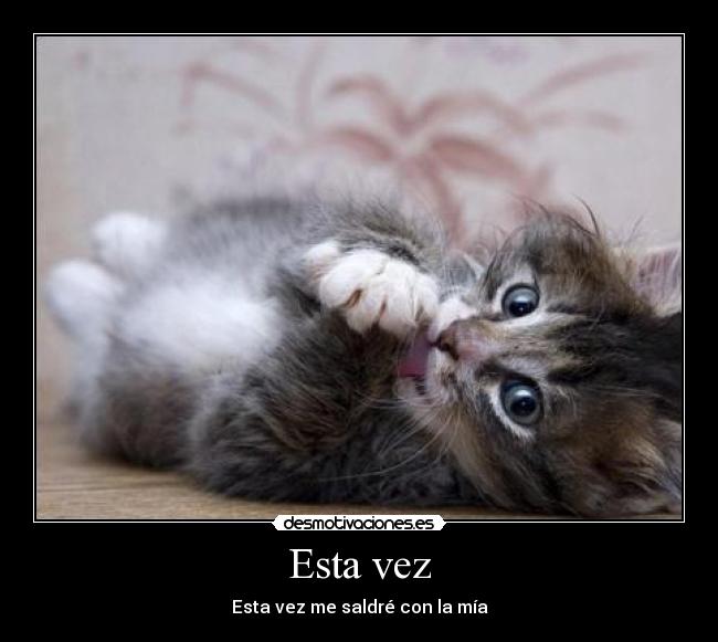 Esta vez - Esta vez me saldré con la mía
