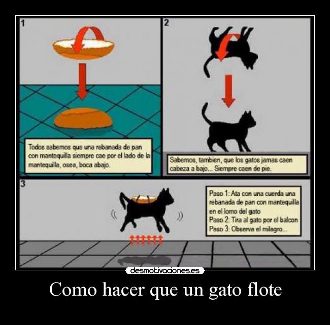 Como hacer que un gato flote -