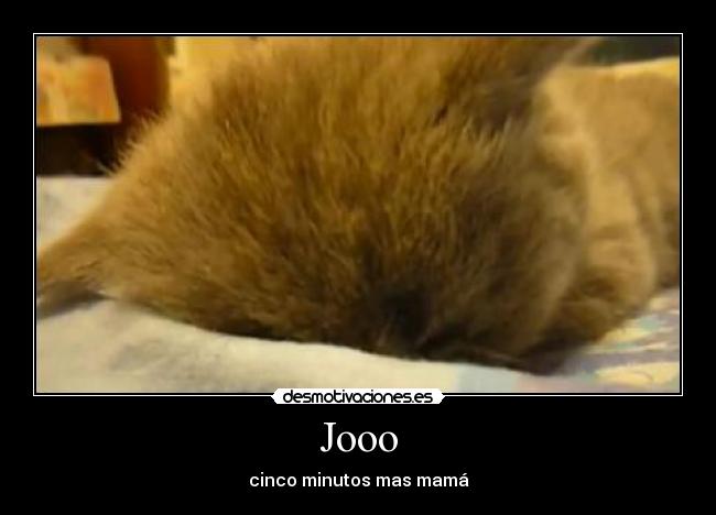 Jooo - cinco minutos mas mamá